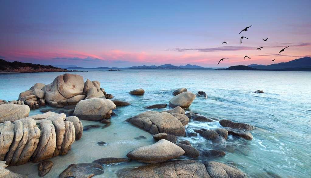 7pines Sardinia - A Destination By Hyatt Baja Sardinia